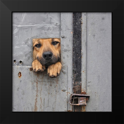 Benjis window II Black Modern Wood Framed Art Print by Knartist