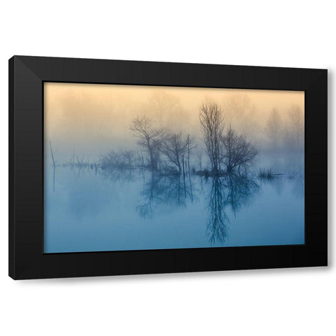 Morning reflection Black Modern Wood Framed Art Print with Double Matting by Butali, David
