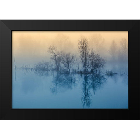 Morning reflection Black Modern Wood Framed Art Print by Butali, David