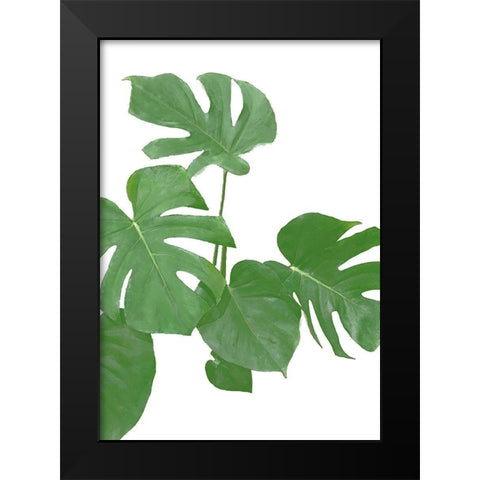 Monstera Green 02 Black Modern Wood Framed Art Print by Artographie Studio