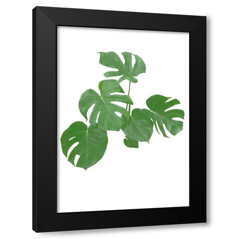 Monstera Green 04 Black Modern Wood Framed Art Print with Double Matting by Artographie Studio