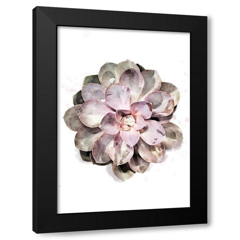 Succulent Plant 01 Black Modern Wood Framed Art Print by Artographie Studio