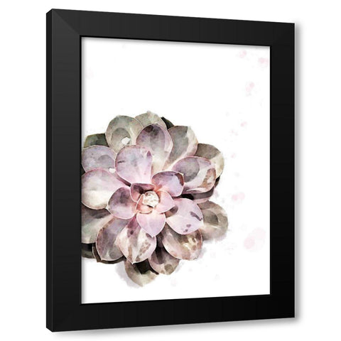 Succulent Plant 02 Black Modern Wood Framed Art Print by Artographie Studio