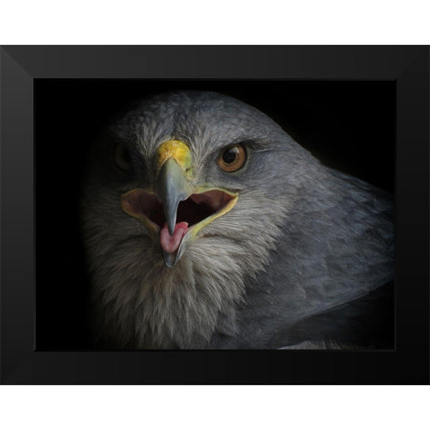 War Cry Black Modern Wood Framed Art Print by valverde, Ferdinando