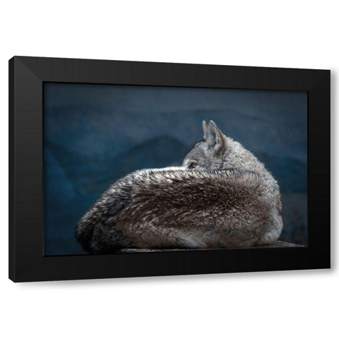 Rainy day eye Black Modern Wood Framed Art Print with Double Matting by Itoyama, Eiji