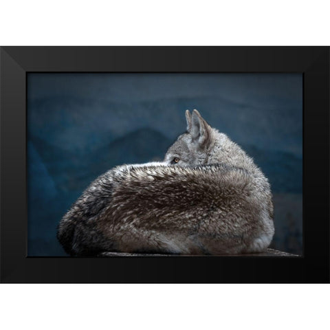 Rainy day eye Black Modern Wood Framed Art Print by Itoyama, Eiji