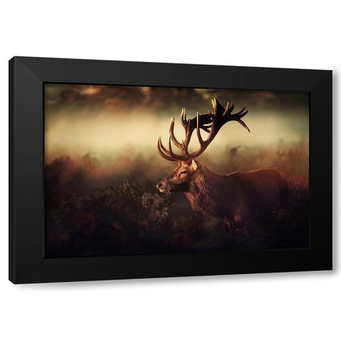 King Black Modern Wood Framed Art Print by Fabrowski, Robert
