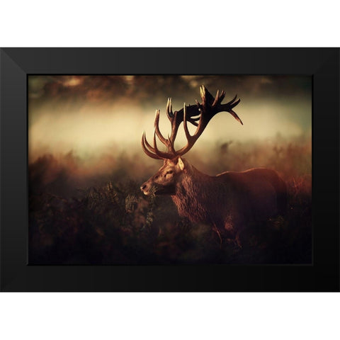 King Black Modern Wood Framed Art Print by Fabrowski, Robert