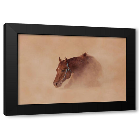 Joyous Black Modern Wood Framed Art Print with Double Matting by Sabharwal, Vishal