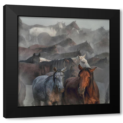 Two Horses Black Modern Wood Framed Art Print by Taskin, Huseyin
