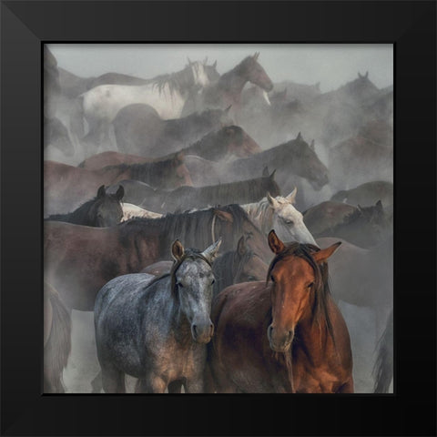 Two Horses Black Modern Wood Framed Art Print by Taskin, Huseyin