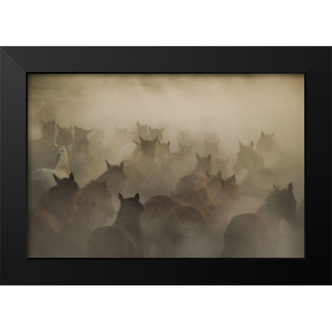 In Dust Black Modern Wood Framed Art Print by Taskin, Huseyin