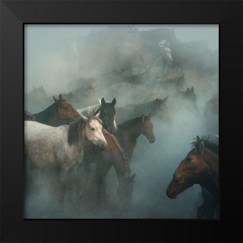 Lost Horses Black Modern Wood Framed Art Print by Taskin, Huseyin