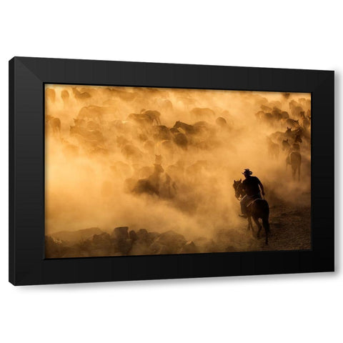 Cappadocia wild horses Black Modern Wood Framed Art Print with Double Matting by Mirica, Dan