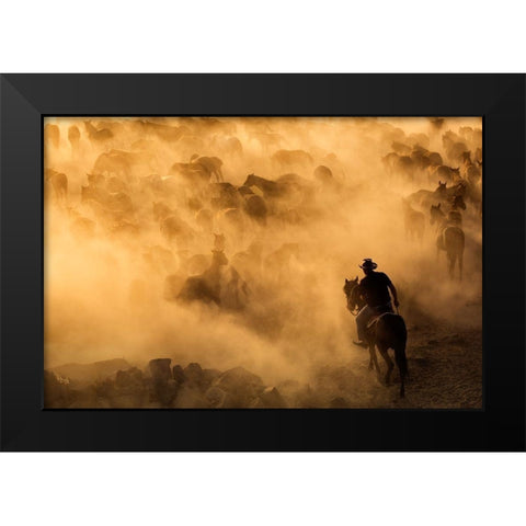 Cappadocia wild horses Black Modern Wood Framed Art Print by Mirica, Dan