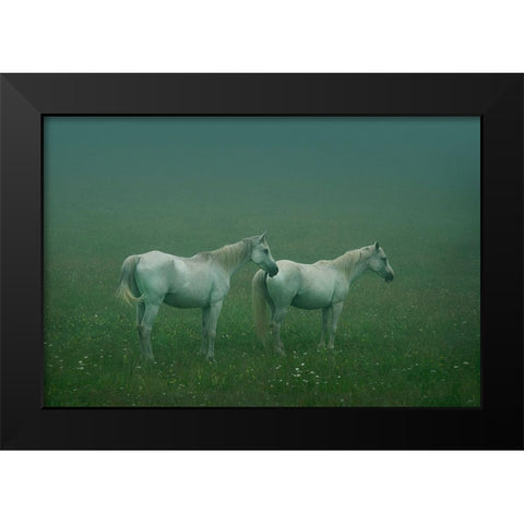 In the silent field Black Modern Wood Framed Art Print by Khemkum, Ekkachai