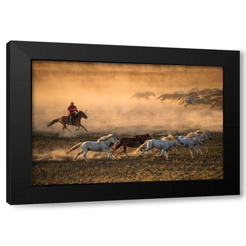 Mongolia Horses Black Modern Wood Framed Art Print with Double Matting by Zhang, Libby