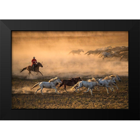 Mongolia Horses Black Modern Wood Framed Art Print by Zhang, Libby
