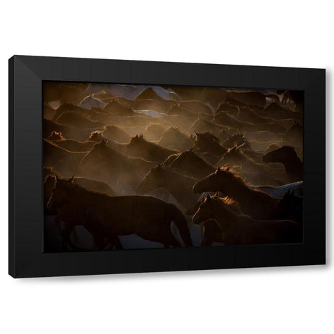 The Herd Black Modern Wood Framed Art Print with Double Matting by Sahin, Ramiz