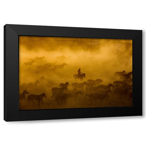 Horses Black Modern Wood Framed Art Print with Double Matting by Nisan Kandilcioglu, Ummu