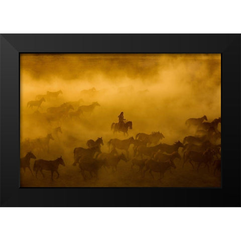 Horses Black Modern Wood Framed Art Print by Nisan Kandilcioglu, Ummu