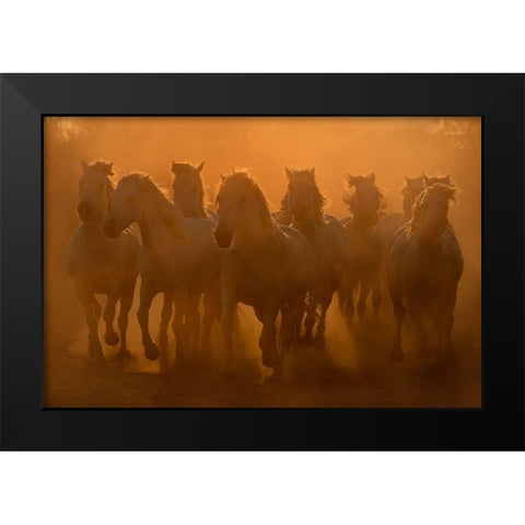 Evening ride Black Modern Wood Framed Art Print by Vekemans, Muriel