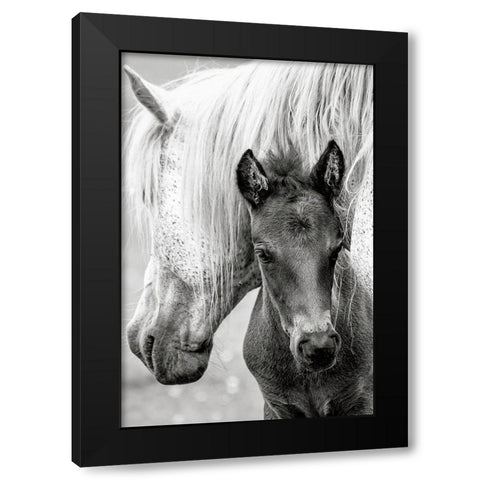 The Foal Black Modern Wood Framed Art Print with Double Matting by Parker, Jacky