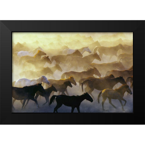 Wild horses Black Modern Wood Framed Art Print by Bagci, Emir