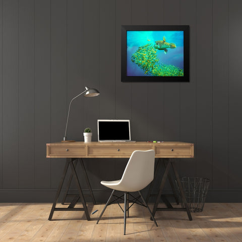 Puffer fish and yellow snapper-Miniloc Island-Palawan-Philippines Black Modern Wood Framed Art Print by Fitzharris, Tim