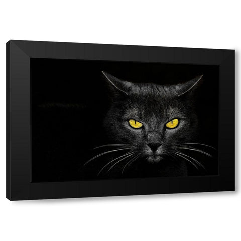 Monster Kill Black Modern Wood Framed Art Print with Double Matting by Baloh, Davorin