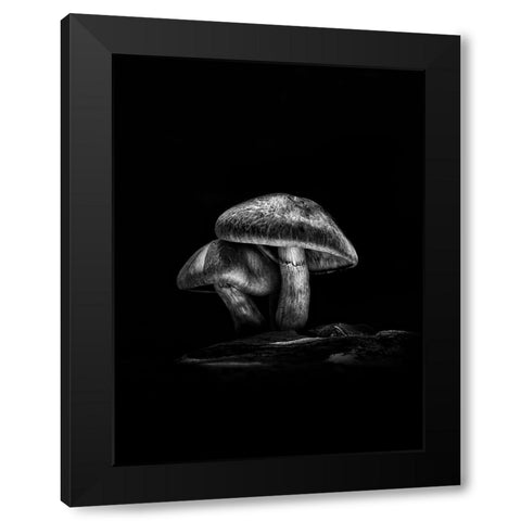 Toadstools on a Toronto Trail No 2 Black Modern Wood Framed Art Print by Carson, Brian