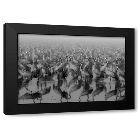 Crosspoint Black Modern Wood Framed Art Print with Double Matting by Meirovich, ido
