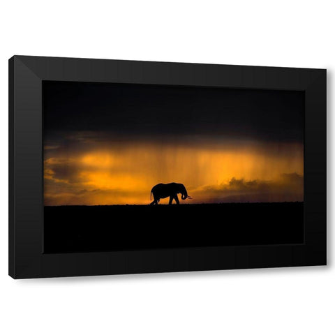 Elephant in a rain storm at sunset Black Modern Wood Framed Art Print by Ortega, Xavier