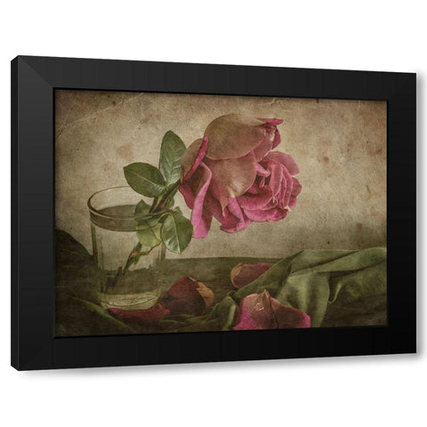 Tear of Rose Black Modern Wood Framed Art Print with Double Matting by Tokarev, Igor