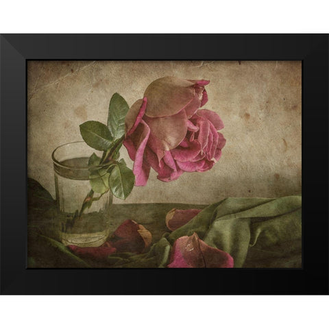 Tear of Rose Black Modern Wood Framed Art Print by Tokarev, Igor