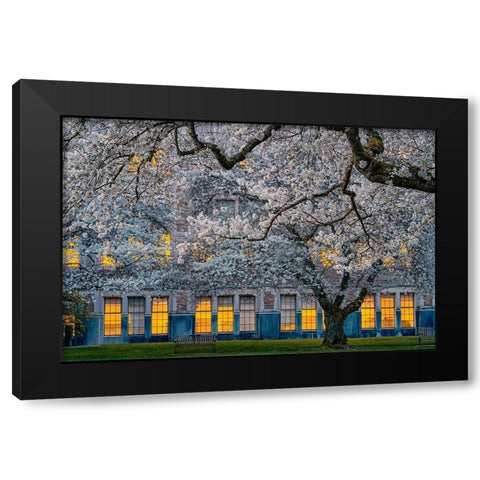 Morning at University of Washington Black Modern Wood Framed Art Print with Double Matting by Jacobs, Lydia