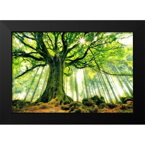 Ponthus Beech Black Modern Wood Framed Art Print by Kiciak, Christophe