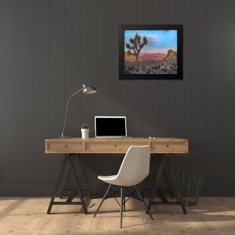 Joshua Trees at Lost Horse Valley Black Modern Wood Framed Art Print by Fitzharris, Tim