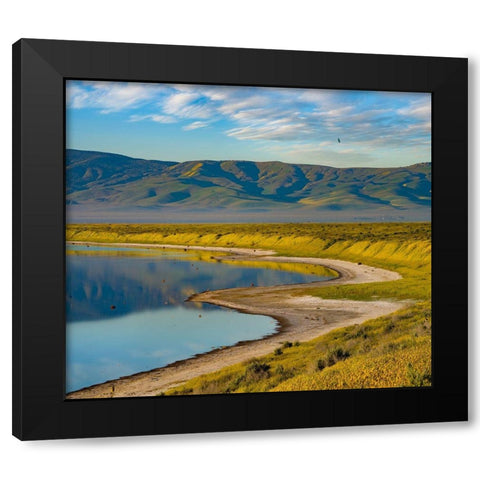 Soda Lake-Carrizo Plain National Monument Black Modern Wood Framed Art Print by Fitzharris, Tim