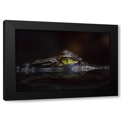 Hypnotic Black Modern Wood Framed Art Print with Double Matting by Cessati, Gaetano