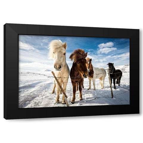 Icelandic Hair Style Black Modern Wood Framed Art Print by Leske, Mike