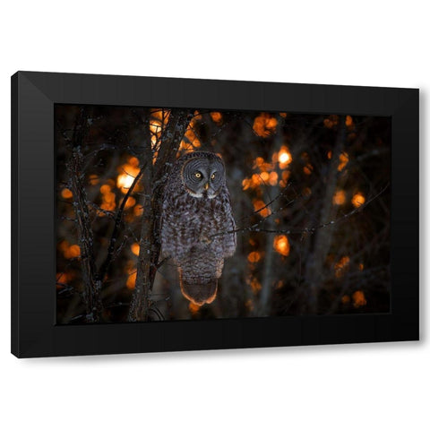 As the Sun Goes Down Black Modern Wood Framed Art Print with Double Matting by Kalathas, Nick
