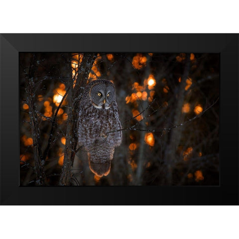 As the Sun Goes Down Black Modern Wood Framed Art Print by Kalathas, Nick