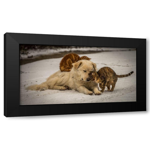 sweet effusions Black Modern Wood Framed Art Print with Double Matting by Lucidi, Riccardo