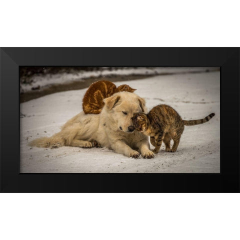 sweet effusions Black Modern Wood Framed Art Print by Lucidi, Riccardo