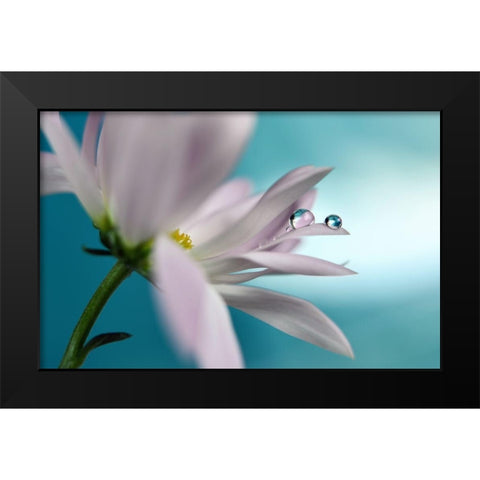 In turquoise Company Black Modern Wood Framed Art Print by Westum, Heidi