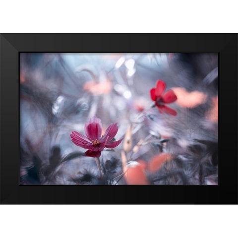 Une autre fleur, une autre histoire Black Modern Wood Framed Art Print by Bravin, Fabien