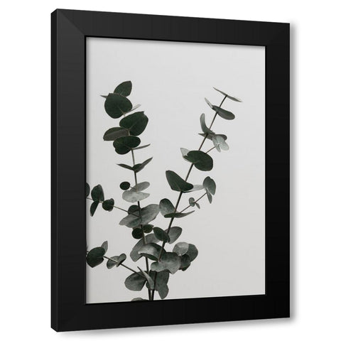 Eucalyptus Natural 04 Black Modern Wood Framed Art Print by Artographie Studio