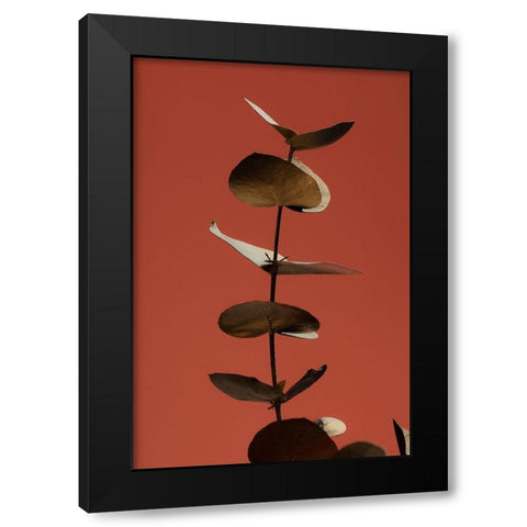 Eucalyptus Gold Rust 04 Black Modern Wood Framed Art Print with Double Matting by Artographie Studio