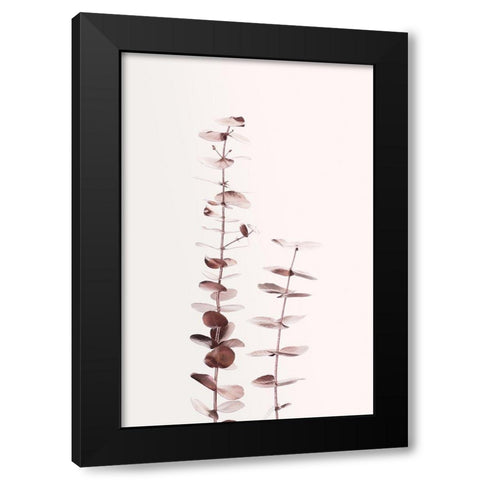 Eucalyptus Copper No 02 Black Modern Wood Framed Art Print with Double Matting by Artographie Studio